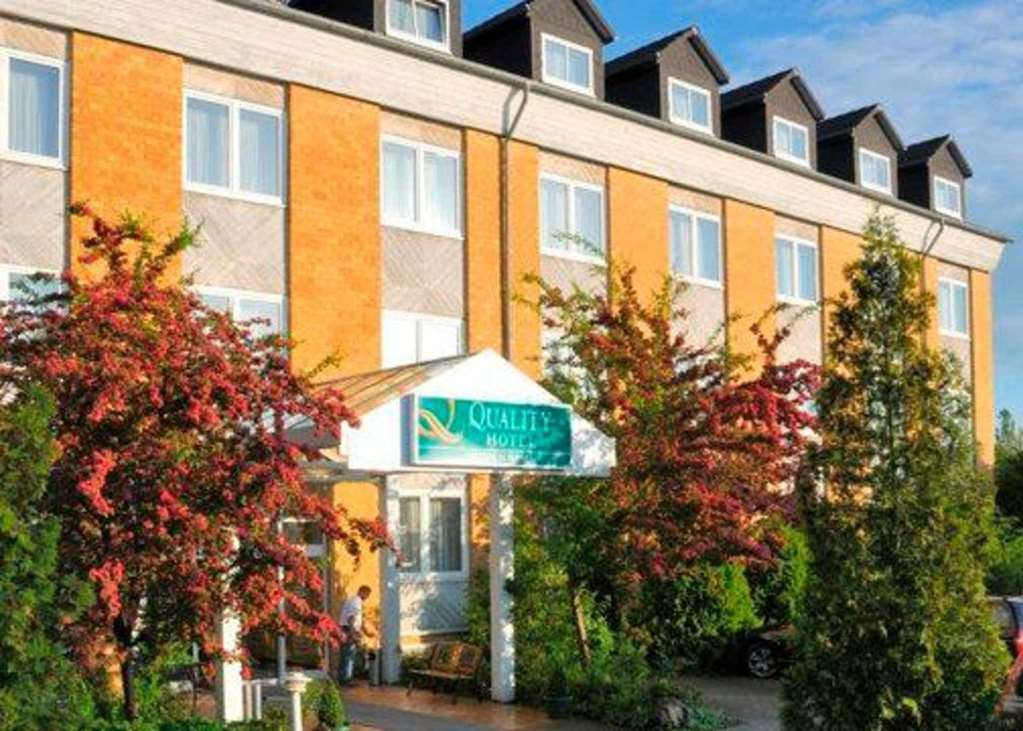 Quick Hotel Dresden West Kesselsdorf Ngoại thất bức ảnh